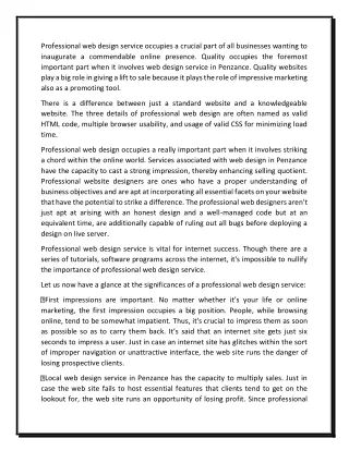 professional web design service occupies