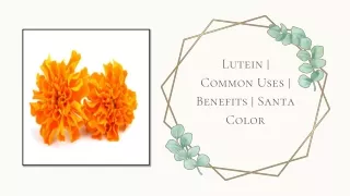 Lutein | Common Uses | Benefits | Santa Color