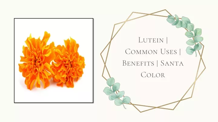 lutein common uses benefits santa color