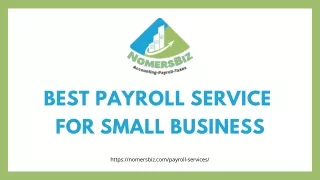 Online payroll services for startups | Nomersbiz