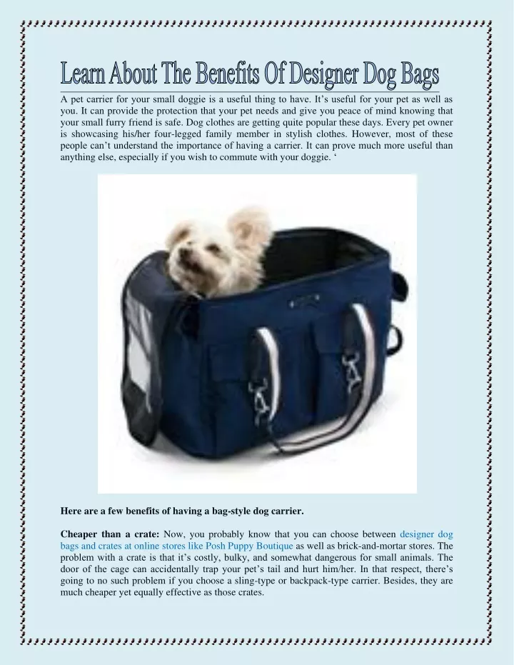 a pet carrier for your small doggie is a useful