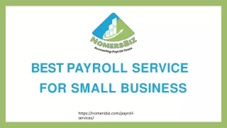Online payroll services for startups | Nomersbiz