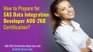 how to prepare for sas data integration developer