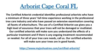 Arborist Cape Coral FL