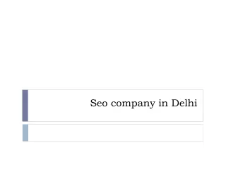 seo company in delhi