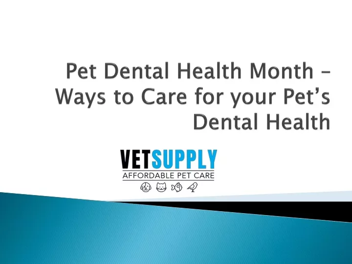 pet dental health month ways to care for your pet s dental health
