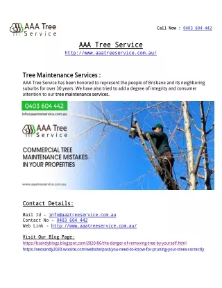 Tree Maintenance  Company