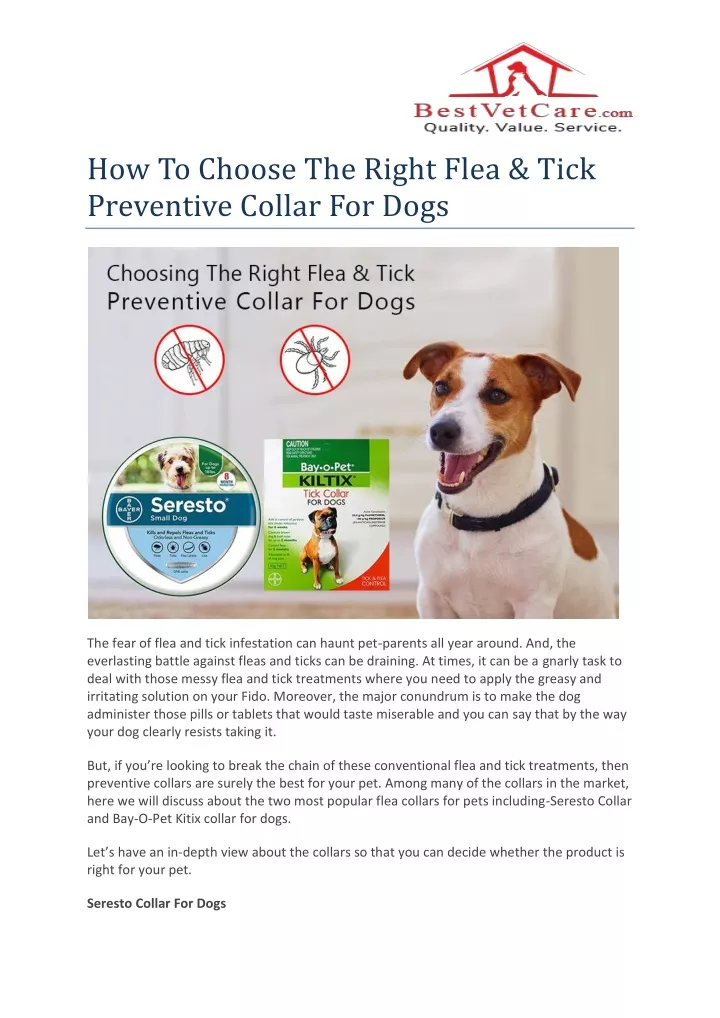 how to choose the right flea tick preventive