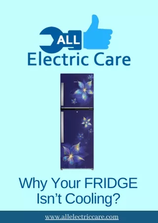 Why Your Fridge isn't cooling?
