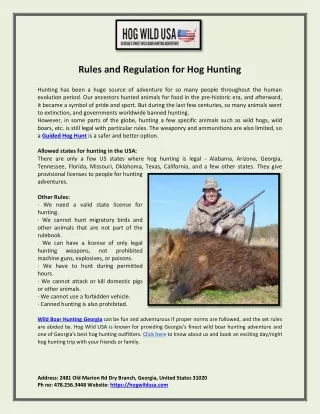 Rules and Regulation for Hog Hunting