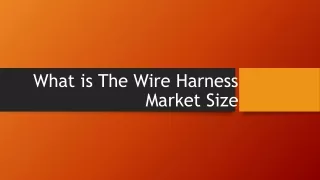 What is The Wire Harness Market Size