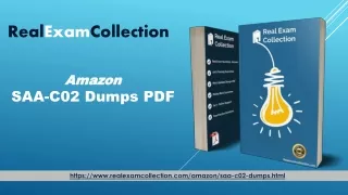 SAA-C02 Exam Questions PDF - Amazon SAA-C02 Top Dumps