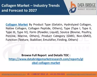 collagen market industry trends and forecast