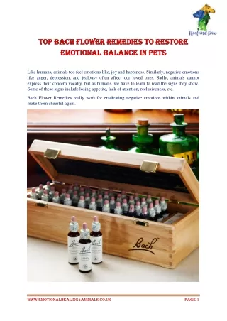 Top Bach Flower Remedies to Restore Emotional Balance in Pets