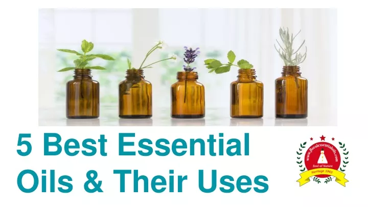 5 best essential oils their uses