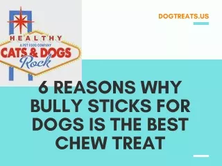 6 Reasons why Bully Sticks for Dogs is the Best Chew Treat