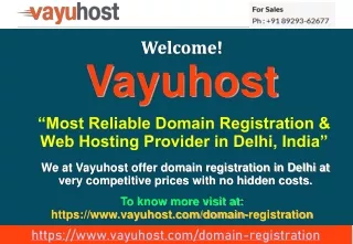 Domain Name Registration Company Delhi