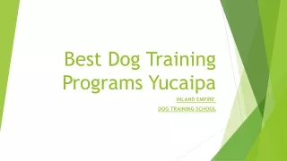 Get Best Dog Training Programs Yucaipa