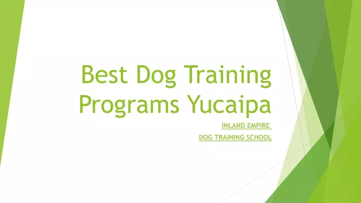 best dog training programs yucaipa