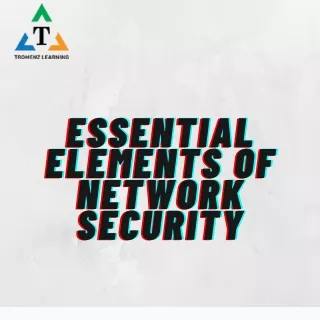 Essential Elements Of Network Security