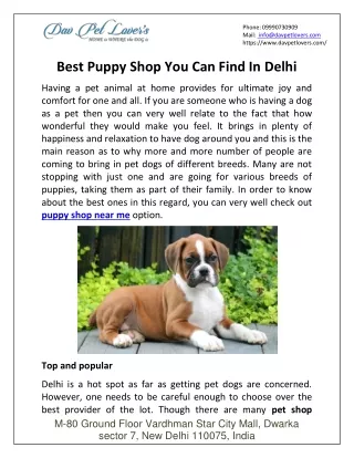 phone 09990730909 mail info@davpetlovers