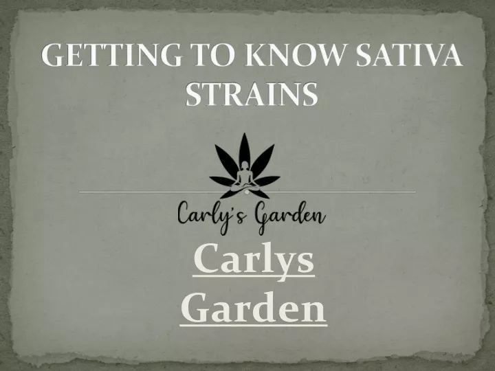 getting to know sativa strains
