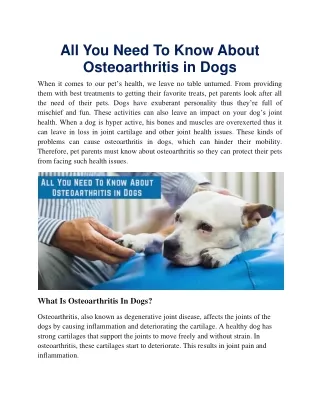 All You Need To Know About Osteoarthritis in Dogs