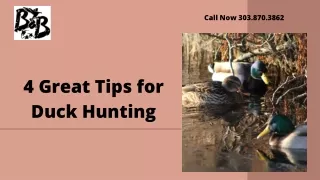 4 Great Tips for Duck Hunting