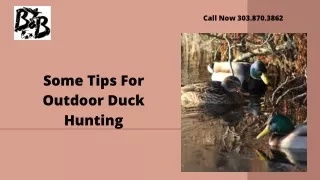 Some Tips For Outdoor Duck Hunting