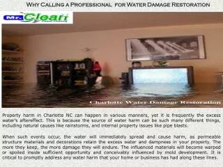 why calling a professional for water damage