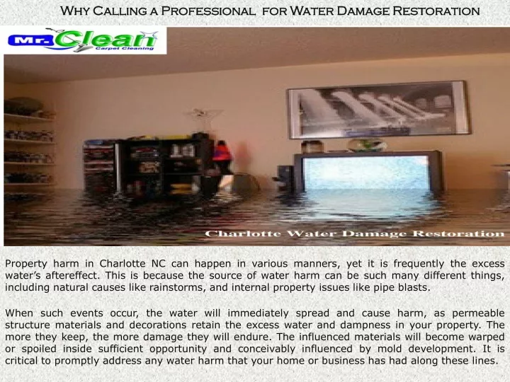 why calling a professional for water damage