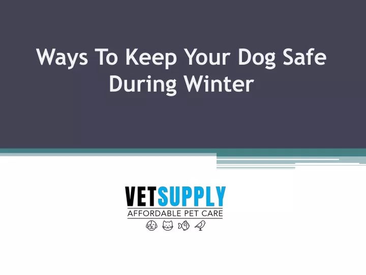ways to keep your dog safe during winter