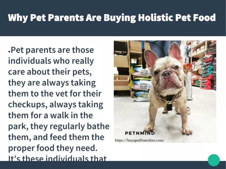 why pet parents are buying holistic pet food