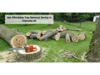 GET AFFORDABLE TREE REMOVAL SERVICE IN CHARLOTTE NC