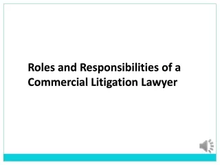 Roles and Responsibilities of a Commercial Litigation lawyer