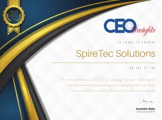 ceo insights