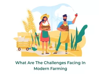 What are the Challenges Facing in Modern Farming?