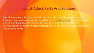 Locust Attack Facts And Solution
