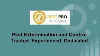 Rodent Pest Control Auckland - Pest Pro