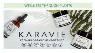 CBD Oil for Sale | Buy CBD Oil | 100% Organic Hemp CBD Store - Karavie