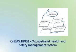 OHS Management System