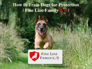 How to Train Dogs for Protection | Fine Line Family K-9 |