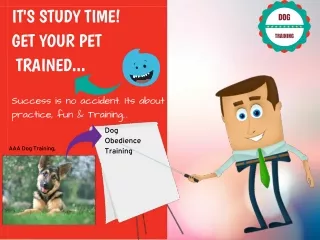 Dog Training made ease