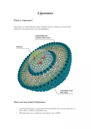 liposomes