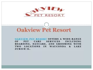 Lakes Region Pet Resort