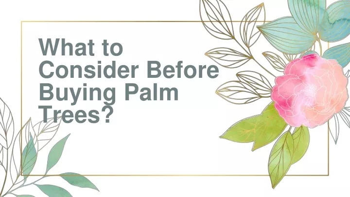 what to consider before buying palm trees