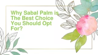 Why Sabal Palm is The Best Choice You Should Opt For?
