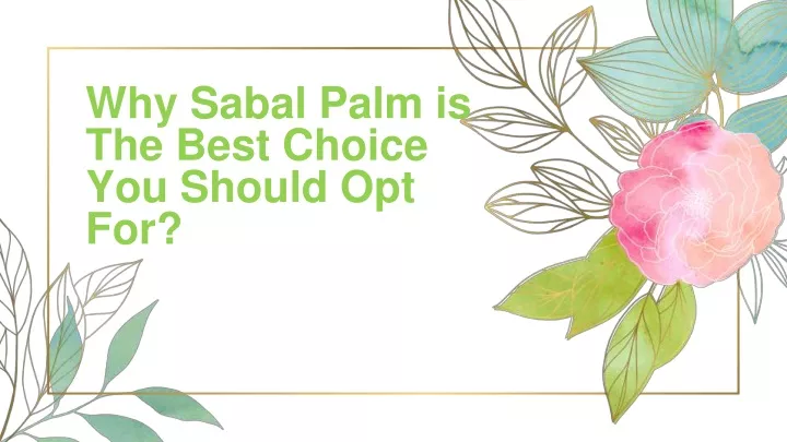 why sabal palm is the best choice you should
