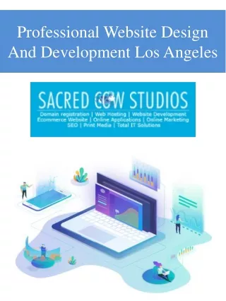 Professional Website Design And Development Los Angeles