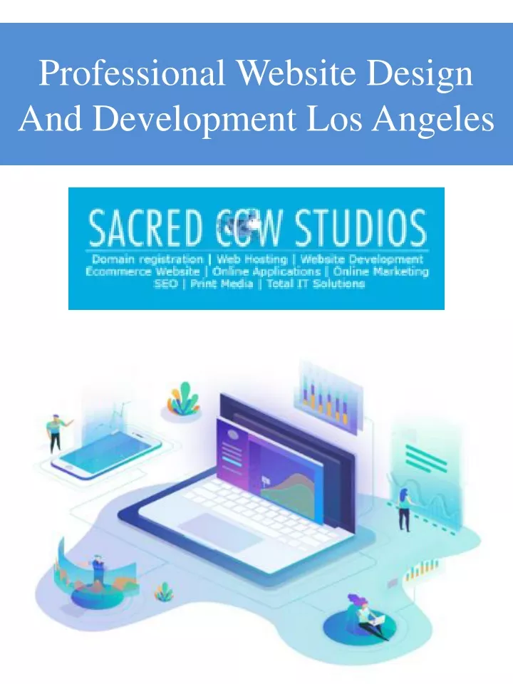 professional website design and development los angeles